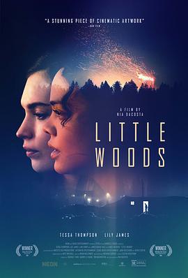 小森林 / Little Woods線上看