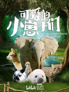 可愛的小崽子們 / The Wonderful World of Baby Animals線上看