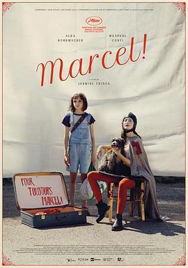 馬賽爾 / Marcel!線上看