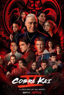 眼鏡蛇 第五季 / Cobra Kai Season 5線上看