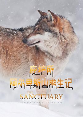 庇護所：阿爾卑斯山求生記 / The Sanctuary: Survival Stories of the Alps線上看