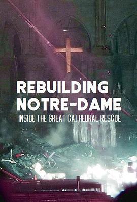 古教堂大救援：爭分奪秒拯救巴黎聖母院 / Rebuilding Notre Dame: Inside the Great Cathedral Rescue線上看