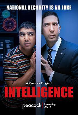 不靠譜情報局 第一季 / Intelligence Season 1線上看